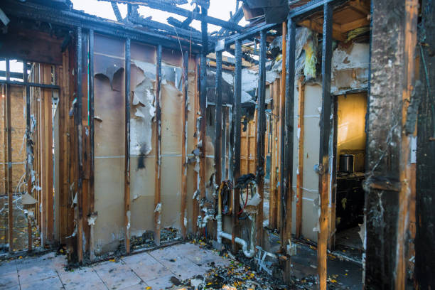 Professional Fire Damage Removal technician working in Wycombe, PA